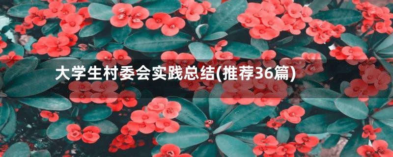 大学生村委会实践总结(推荐36篇)